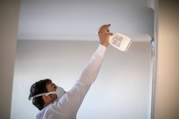 Best Attic Mold Remediation in Carter, TX