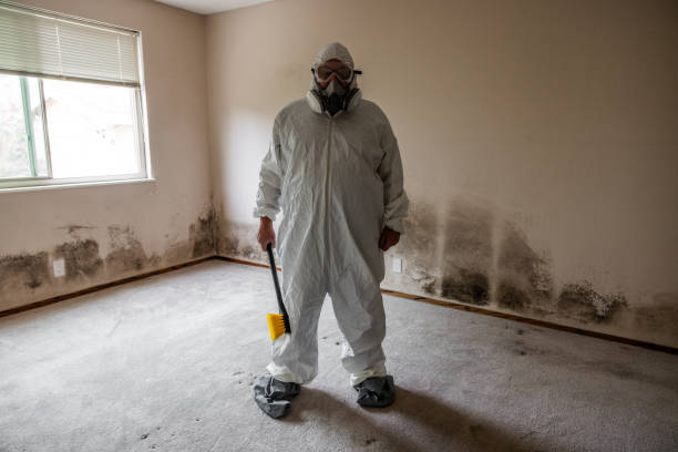Best Industrial Mold Remediation in Carter, TX